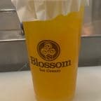 Best Mango Green Tea (with Jelly) in Brooklyn, NY